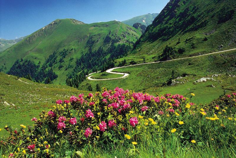 Pension & Appartements Ronacherhof Bad Kleinkirchheim Zewnętrze zdjęcie